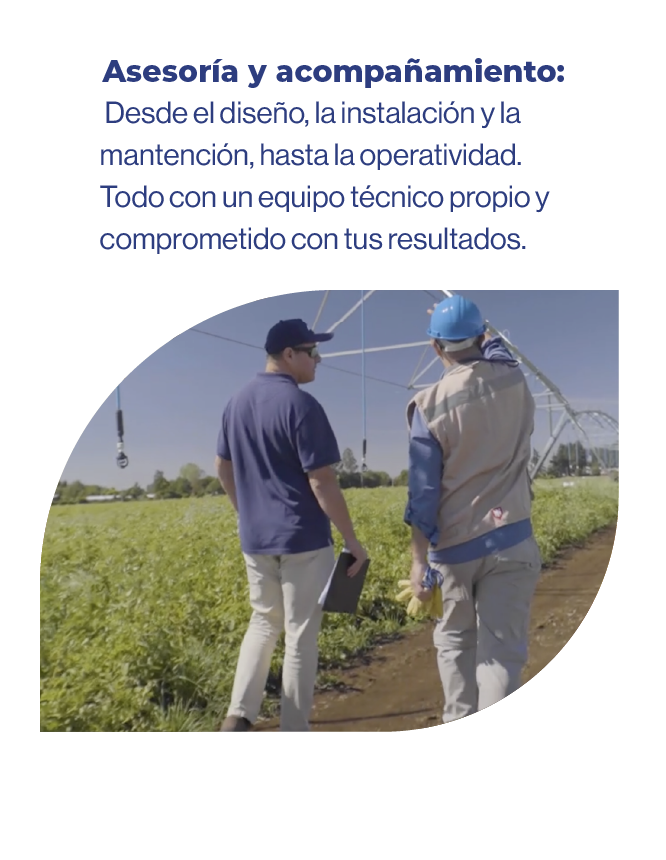 Recurso 331